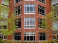 dining-room-windows-from-the-courtyard